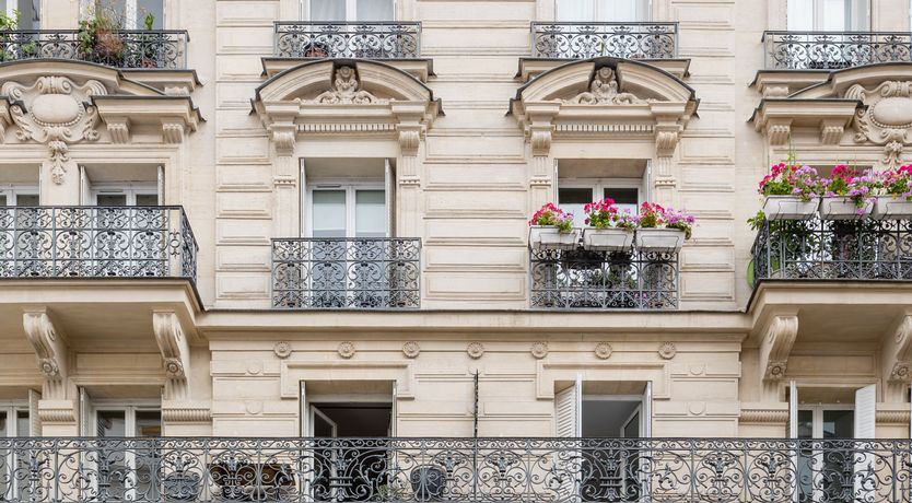 Photo of The French Genius