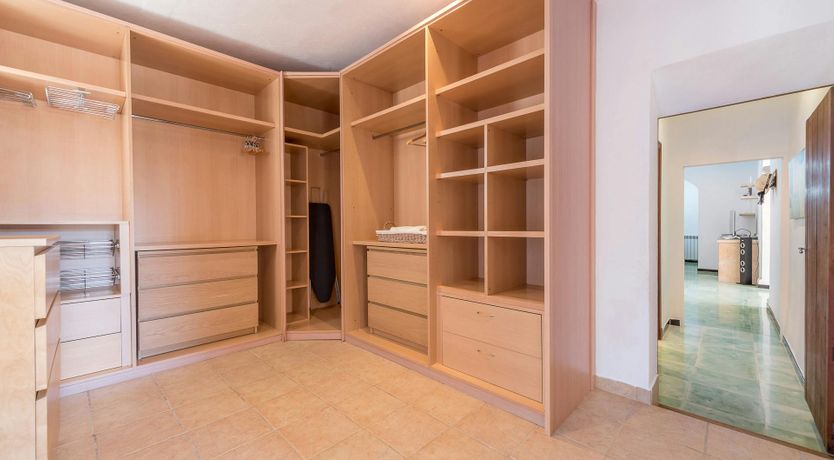 Photo of Peace & Palms