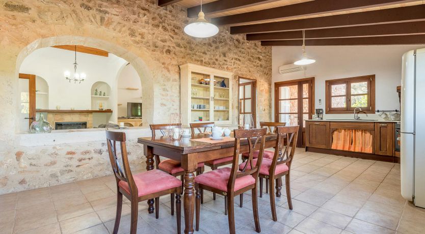 Photo of Peace & Palms