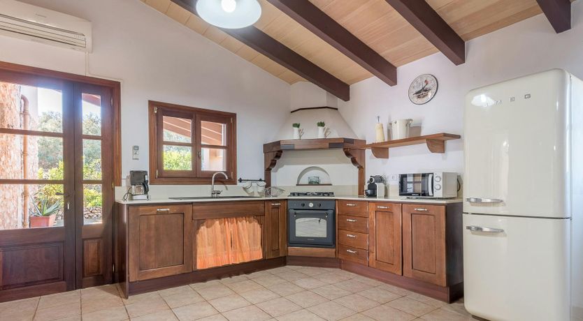 Photo of Peace & Palms