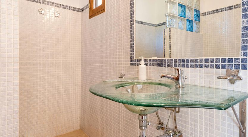 Photo of Peace & Palms