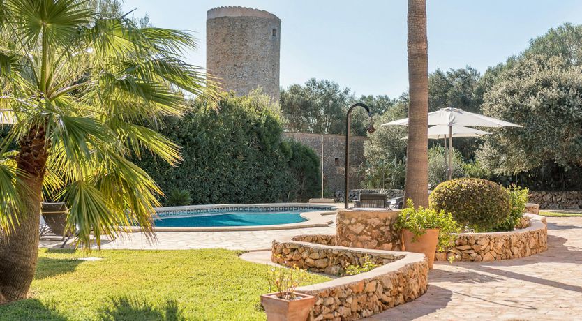 Photo of Peace & Palms