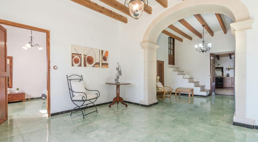 Photo of Peace & Palms