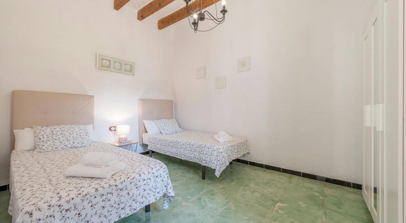 Photo of Peace & Palms