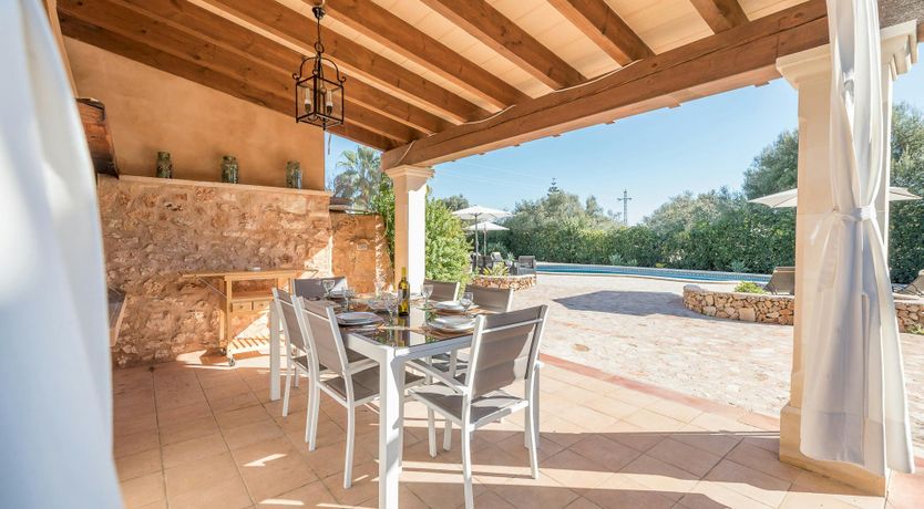 Photo of Peace & Palms