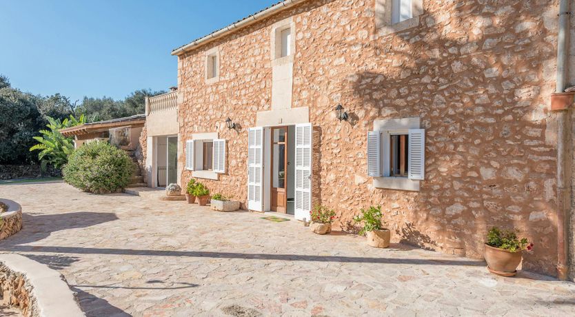 Photo of Peace & Palms