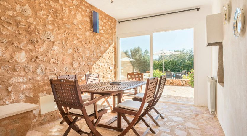 Photo of Peace & Palms