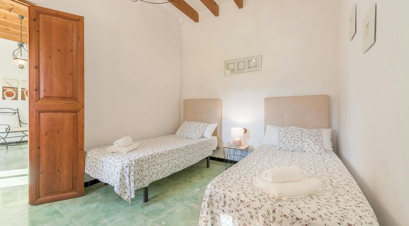 Photo of Peace & Palms