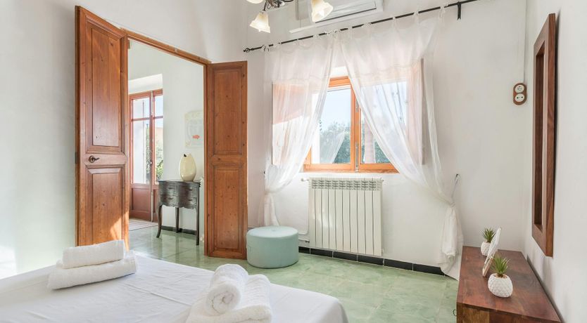 Photo of Peace & Palms