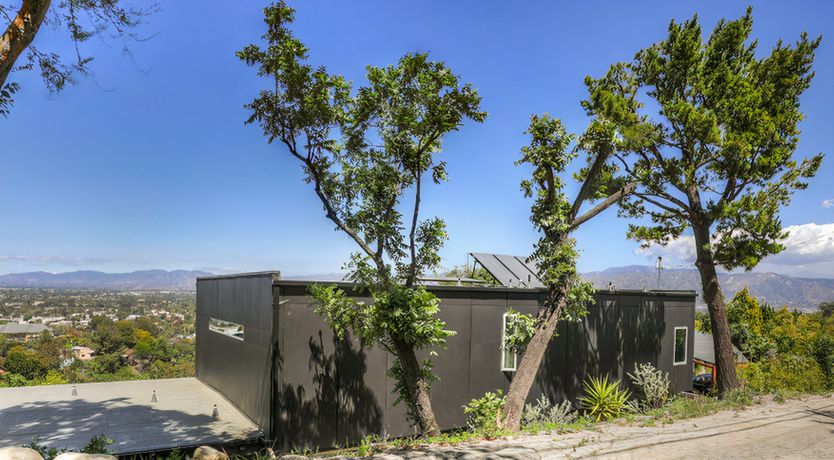 Photo of The Colour of Summer