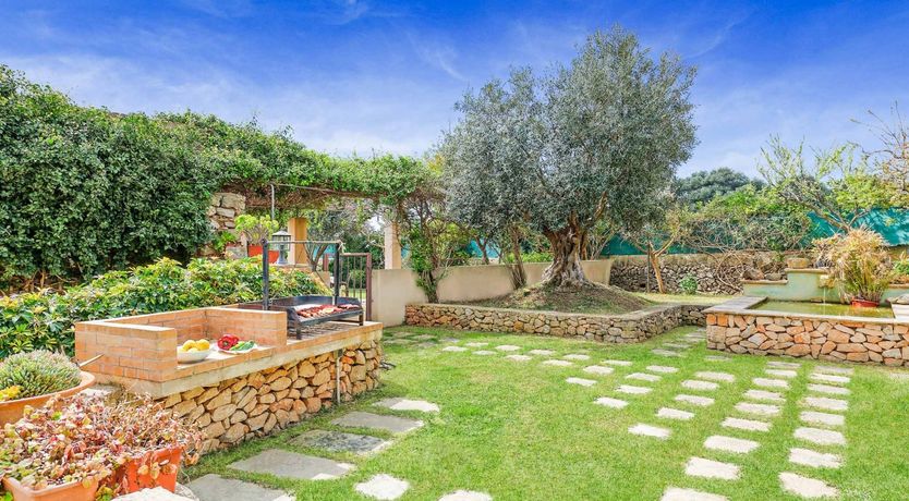 Photo of Simple Peace