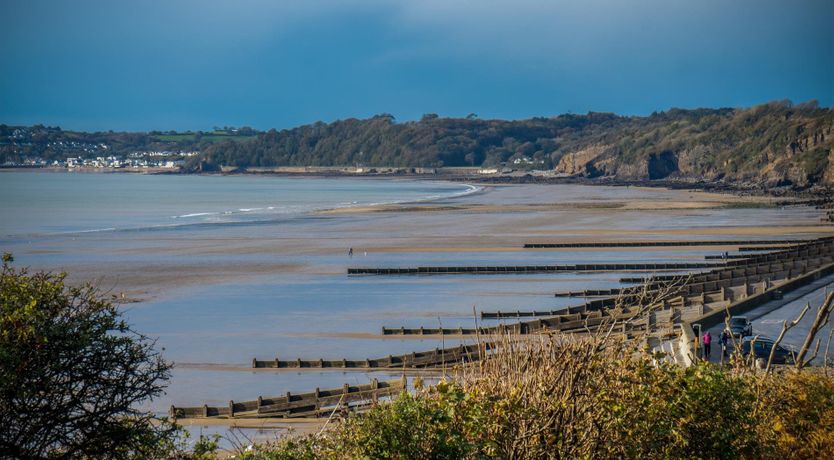 Photo of Meadow Grass