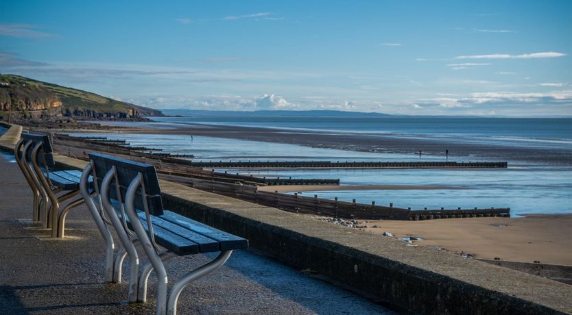 Photo of Meadow Grass