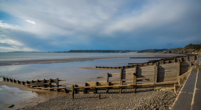 Photo of Meadow Grass