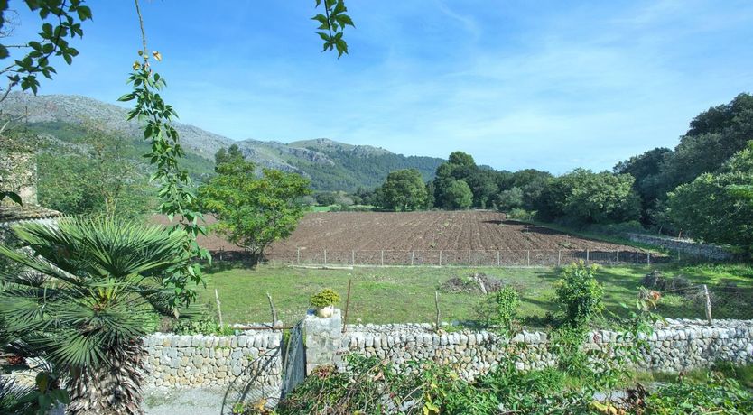 Photo of The Sun Calling