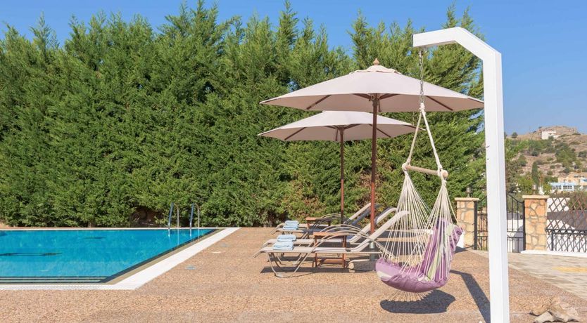 Photo of Dozing in the Sunshine