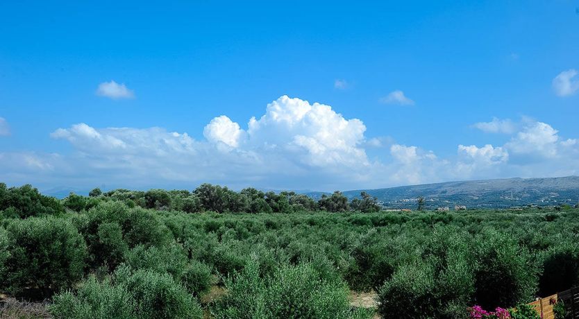 Photo of Favourite Fruit