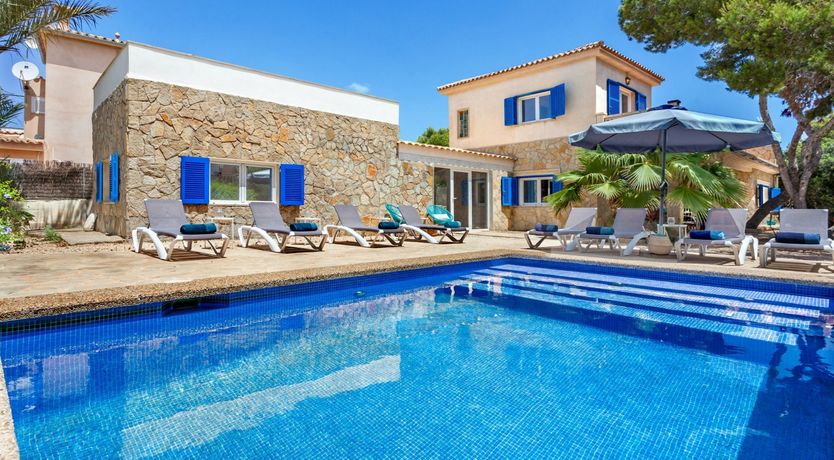 Photo of Sea Daffodil