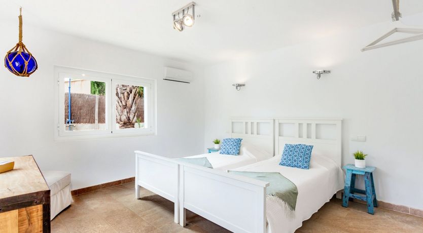 Photo of Sea Daffodil