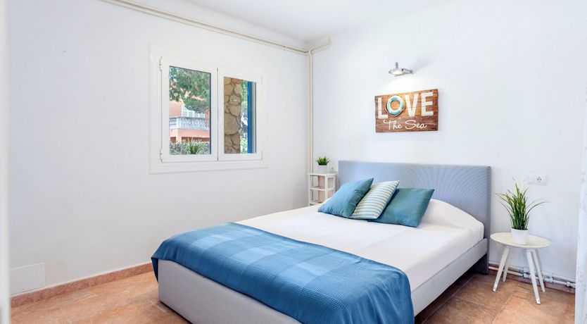 Photo of Sea Daffodil