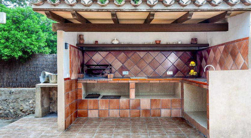 Photo of Sea Daffodil