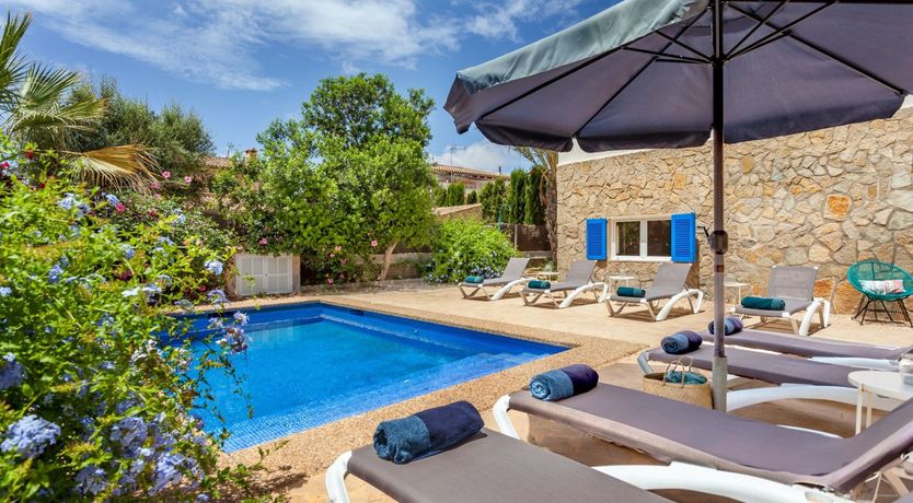 Photo of Sea Daffodil