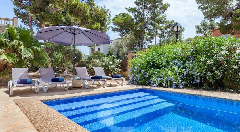 Photo of Sea Daffodil