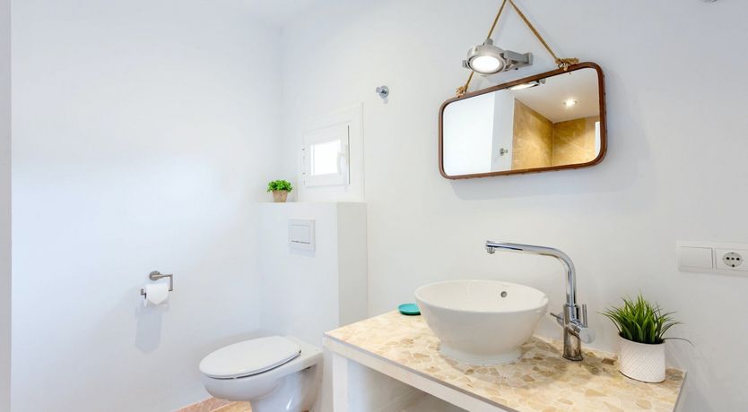 Photo of Sea Daffodil