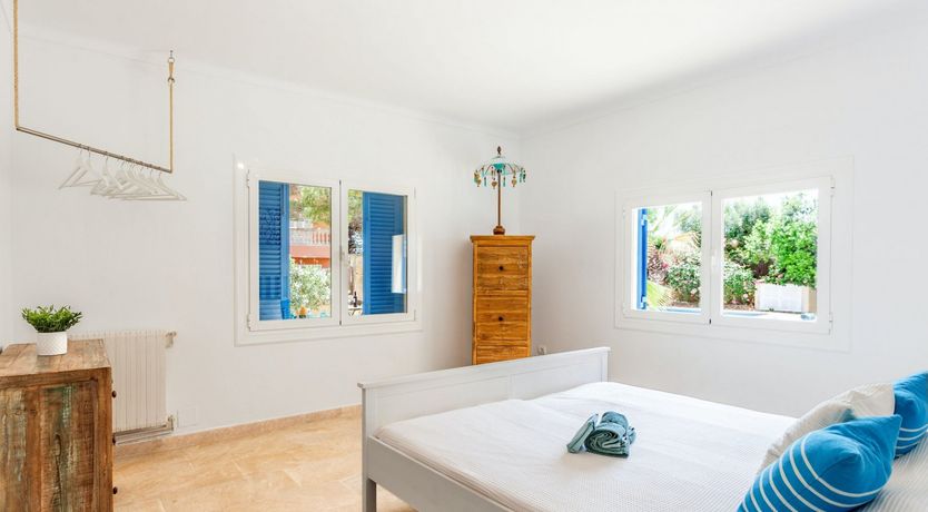 Photo of Sea Daffodil