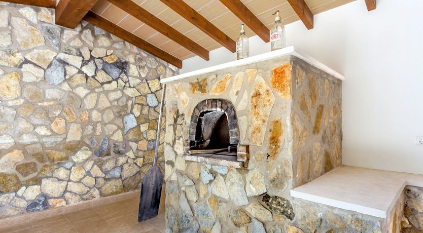 Photo of Sea Daffodil