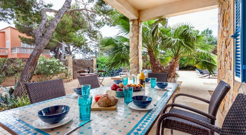 Photo of Sea Daffodil