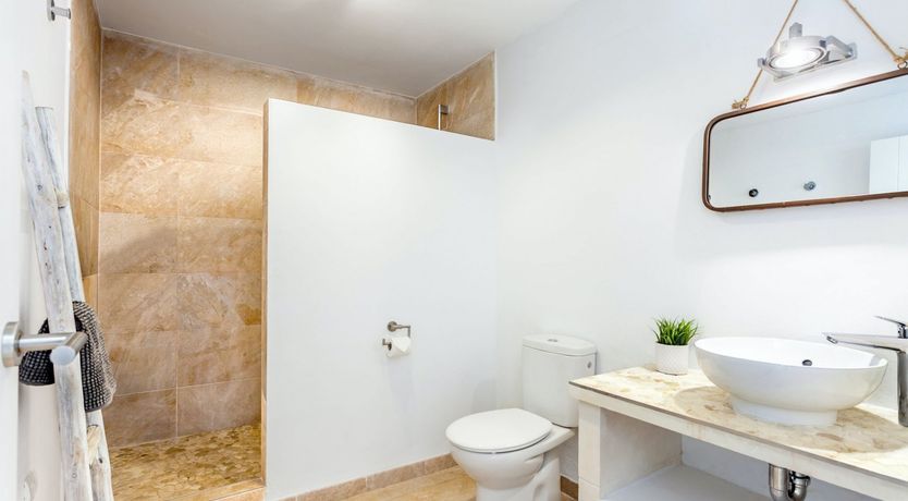 Photo of Sea Daffodil