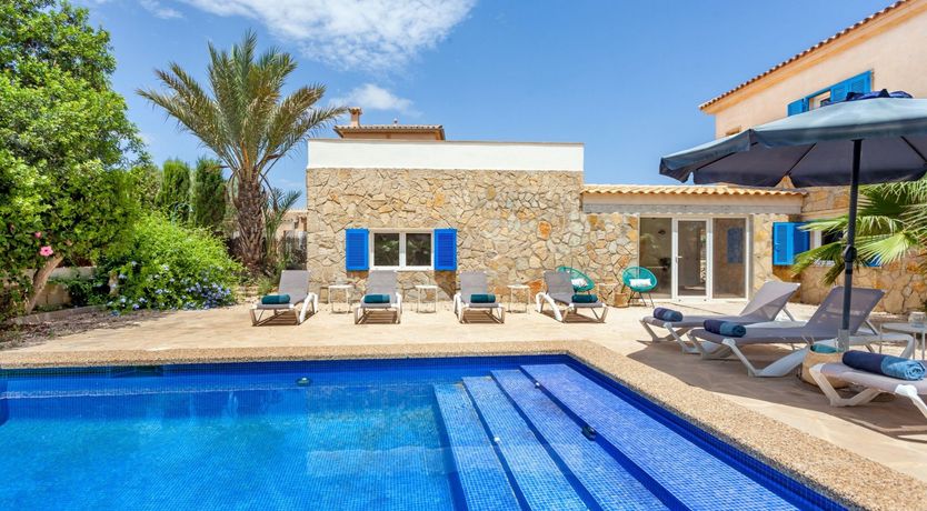 Photo of Sea Daffodil