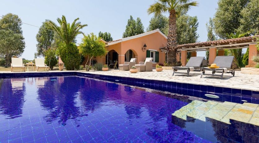 Photo of The Silver Moonshine