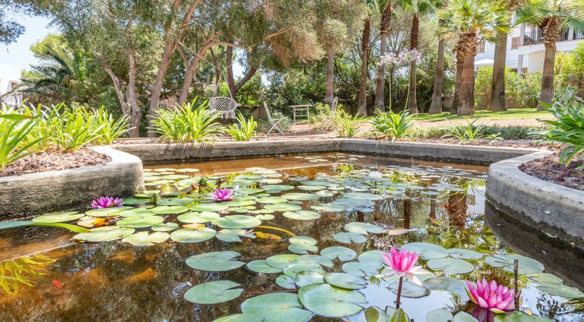 Photo of The Crystal View