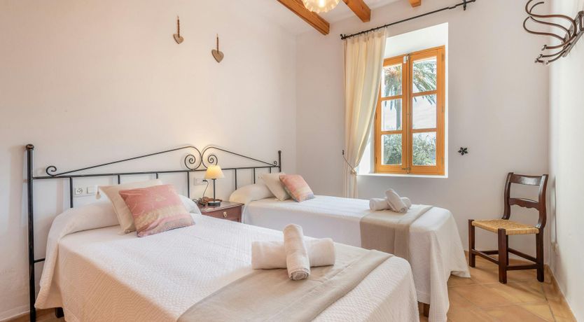 Photo of Citrus Blossom