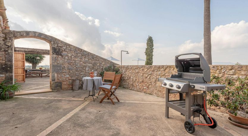 Photo of Citrus Blossom