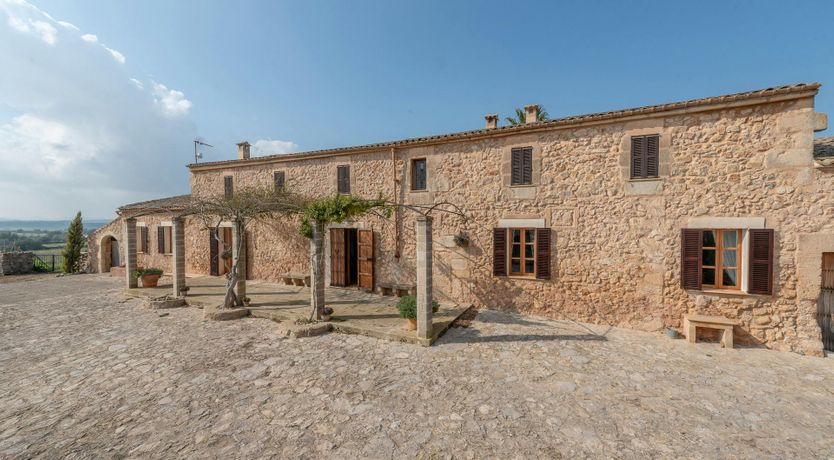 Photo of Citrus Blossom