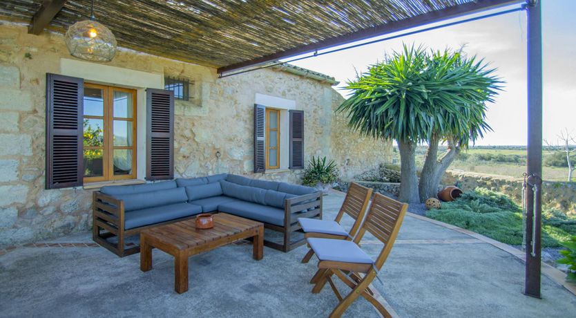 Photo of Citrus Blossom