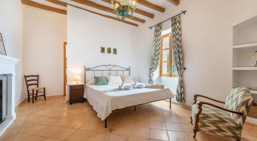 Photo of Citrus Blossom