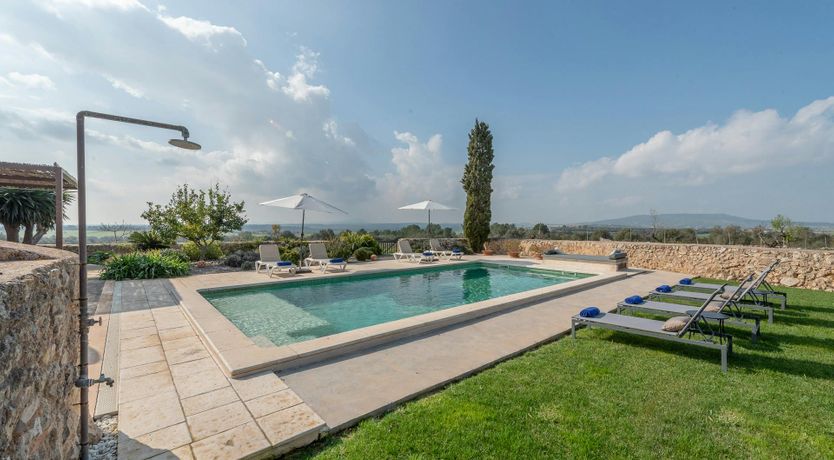 Photo of Citrus Blossom