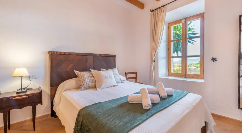 Photo of Citrus Blossom