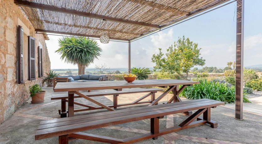 Photo of Citrus Blossom