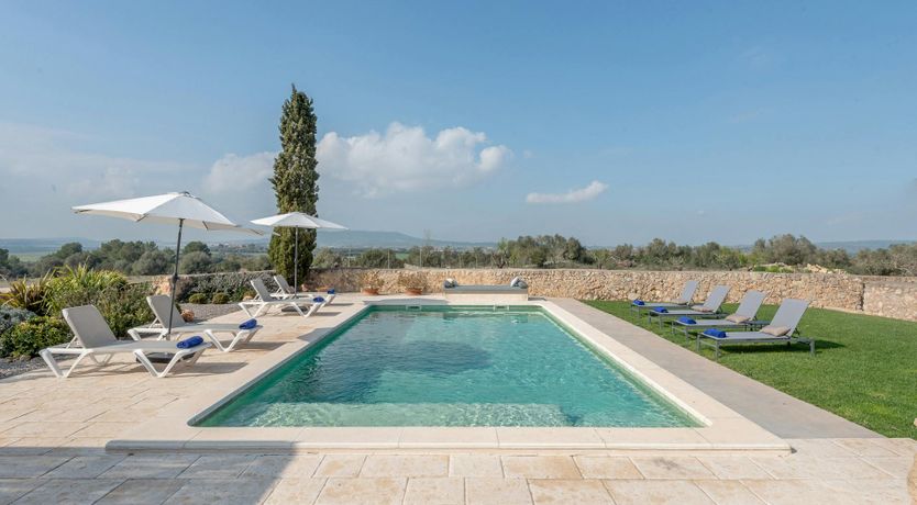 Photo of Citrus Blossom