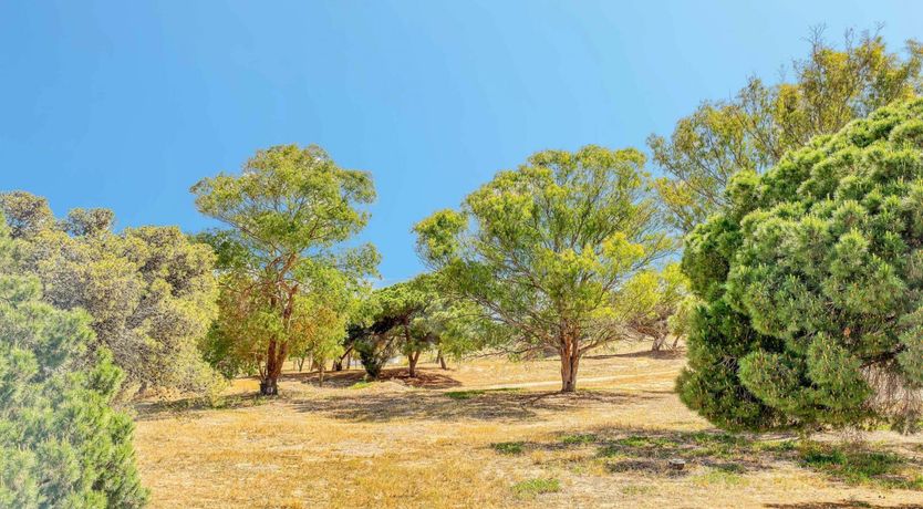 Photo of Pretty in Portugal