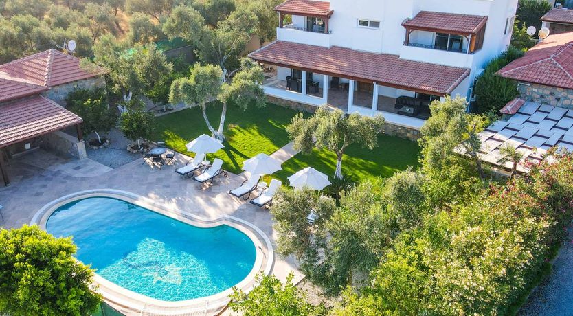 Photo of Flight of the Redwing