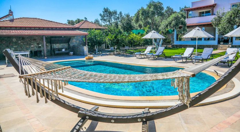 Photo of Flight of the Redwing