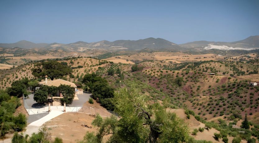 Photo of Peace in the Desert