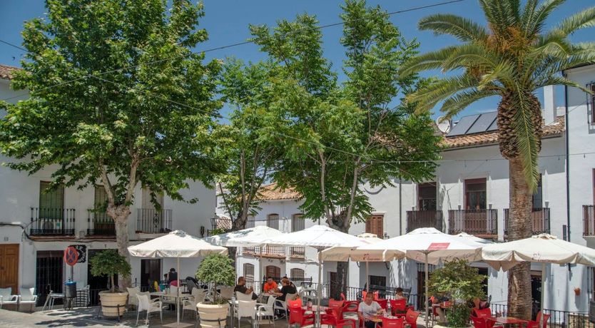 Photo of Peace in the Desert