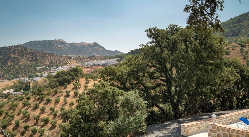 Photo of Peace in the Desert